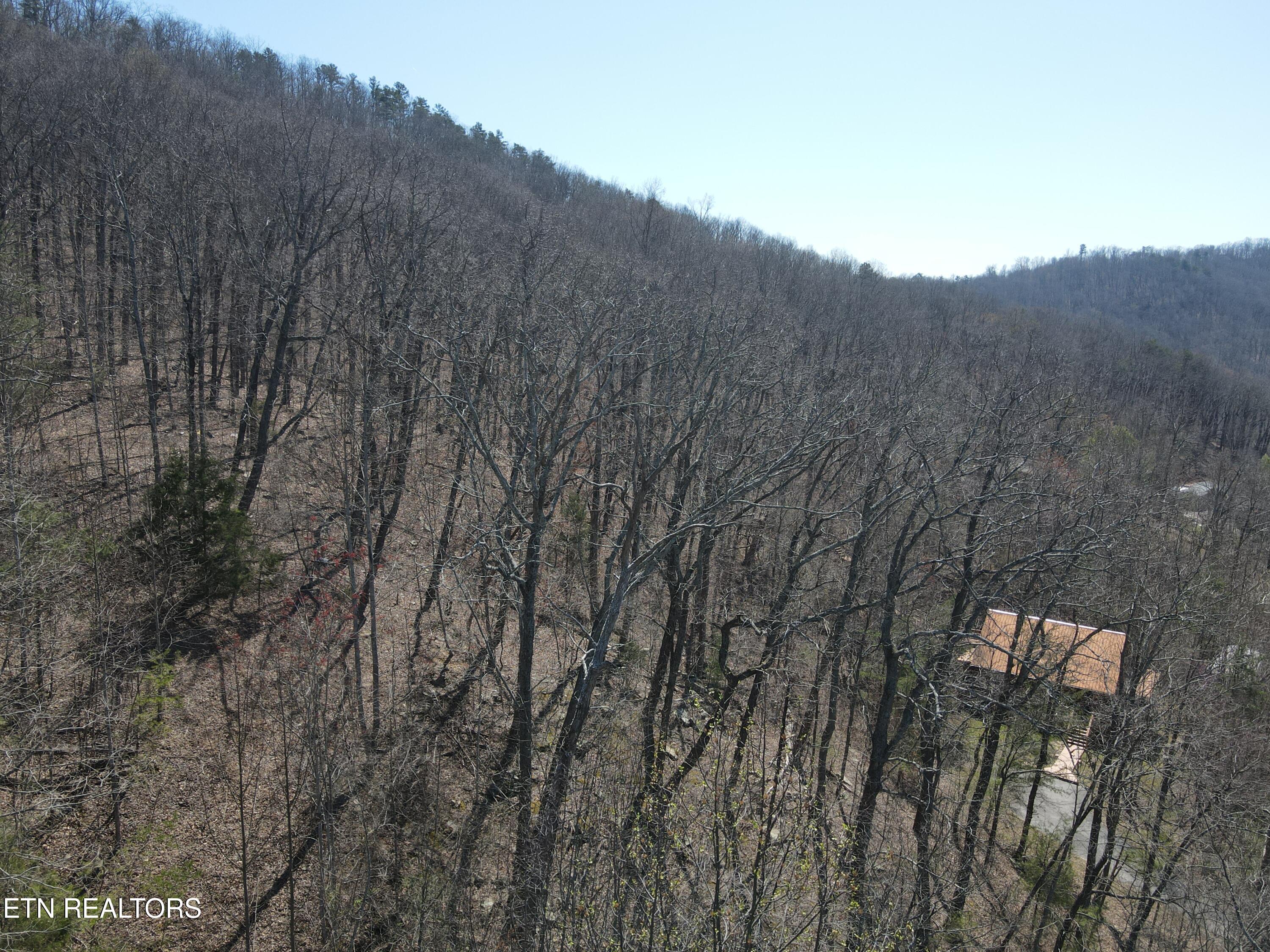 1295 Sussex Road Dayton, TN 37321 - Photo 16 of 21 DJI_0921