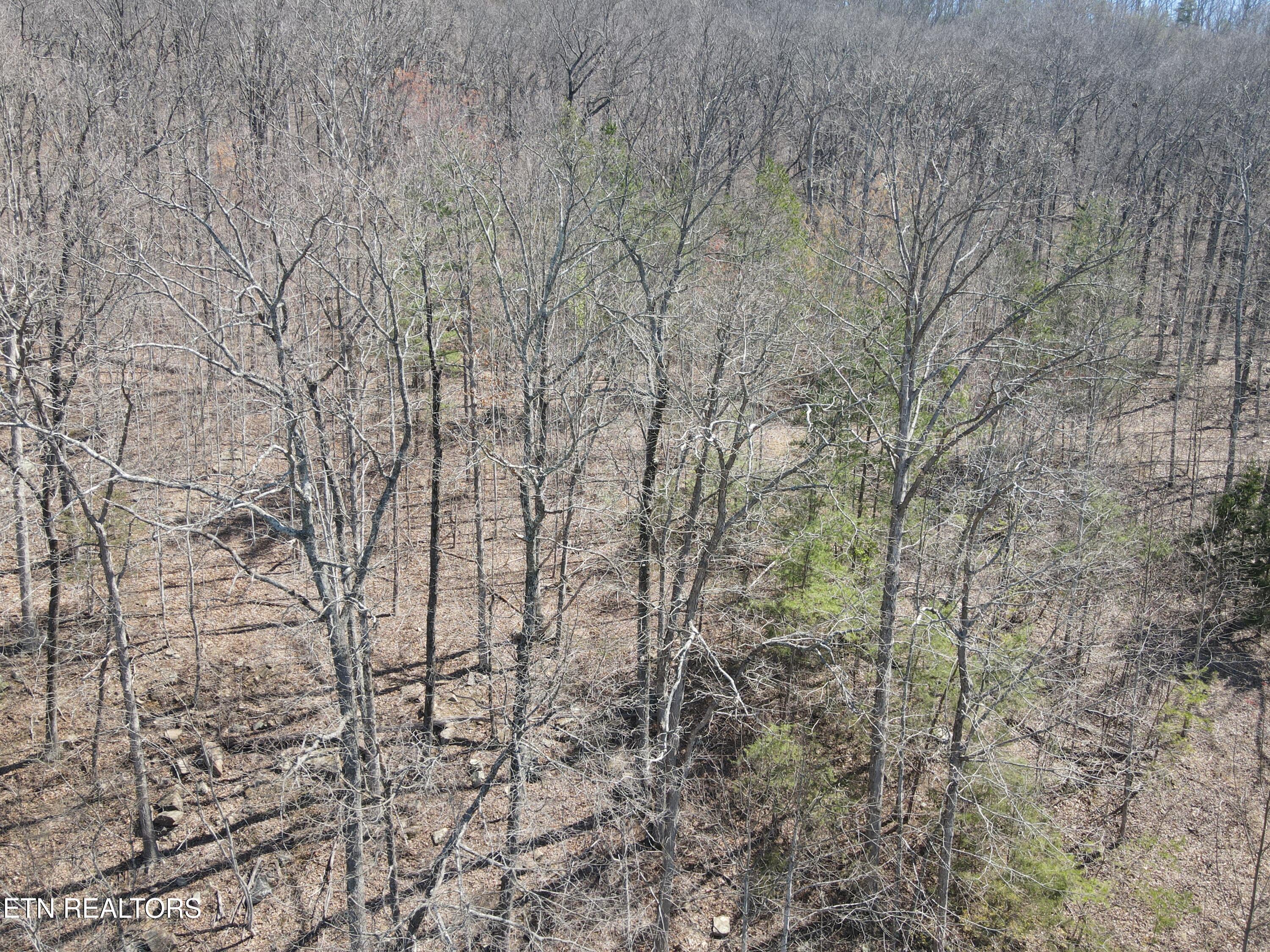 1295 Sussex Road Dayton, TN 37321 - Photo 17 of 21 DJI_0922