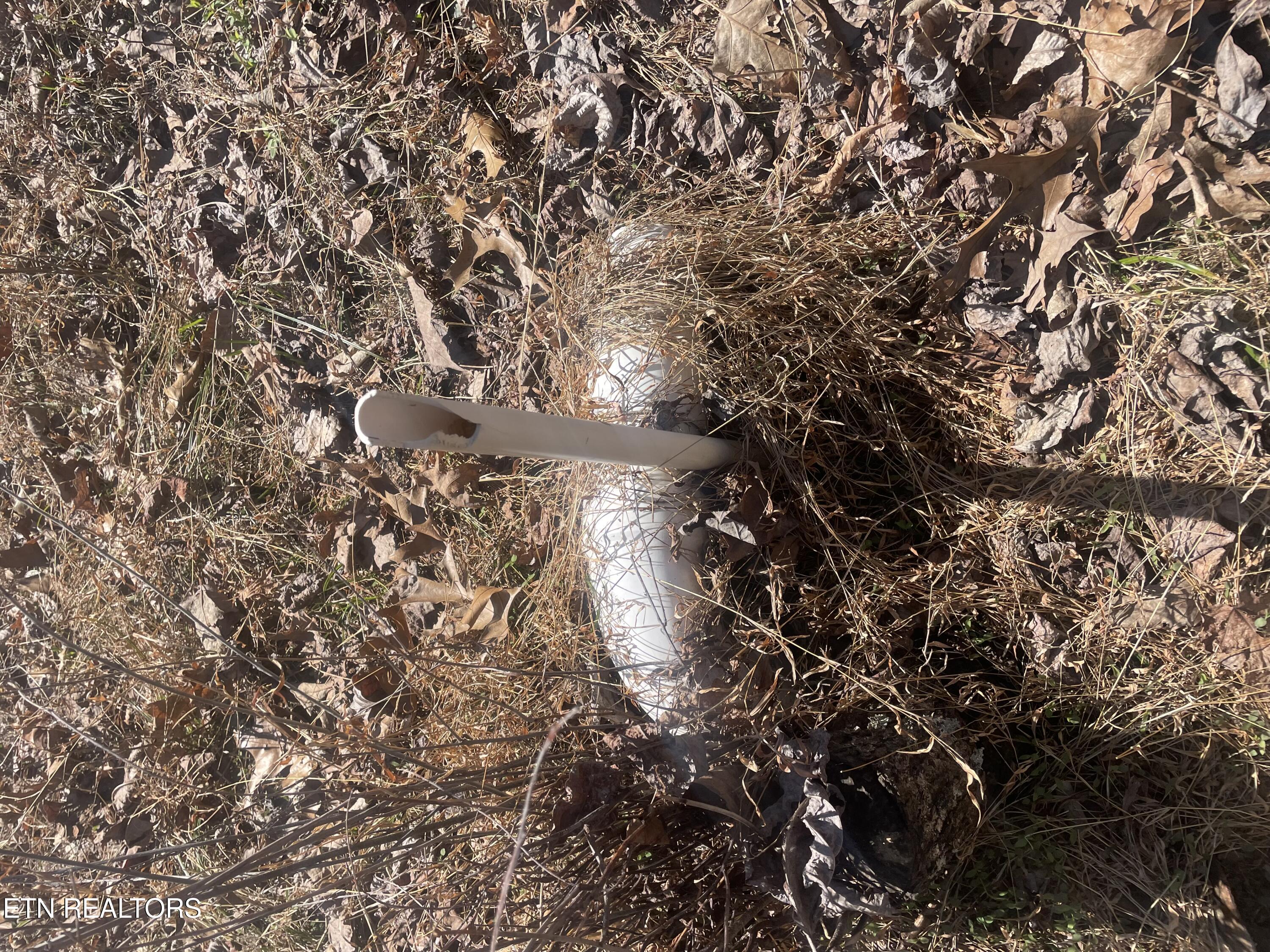 1295 Sussex Road Dayton, TN 37321 - Photo 19 of 21 IMG_7972