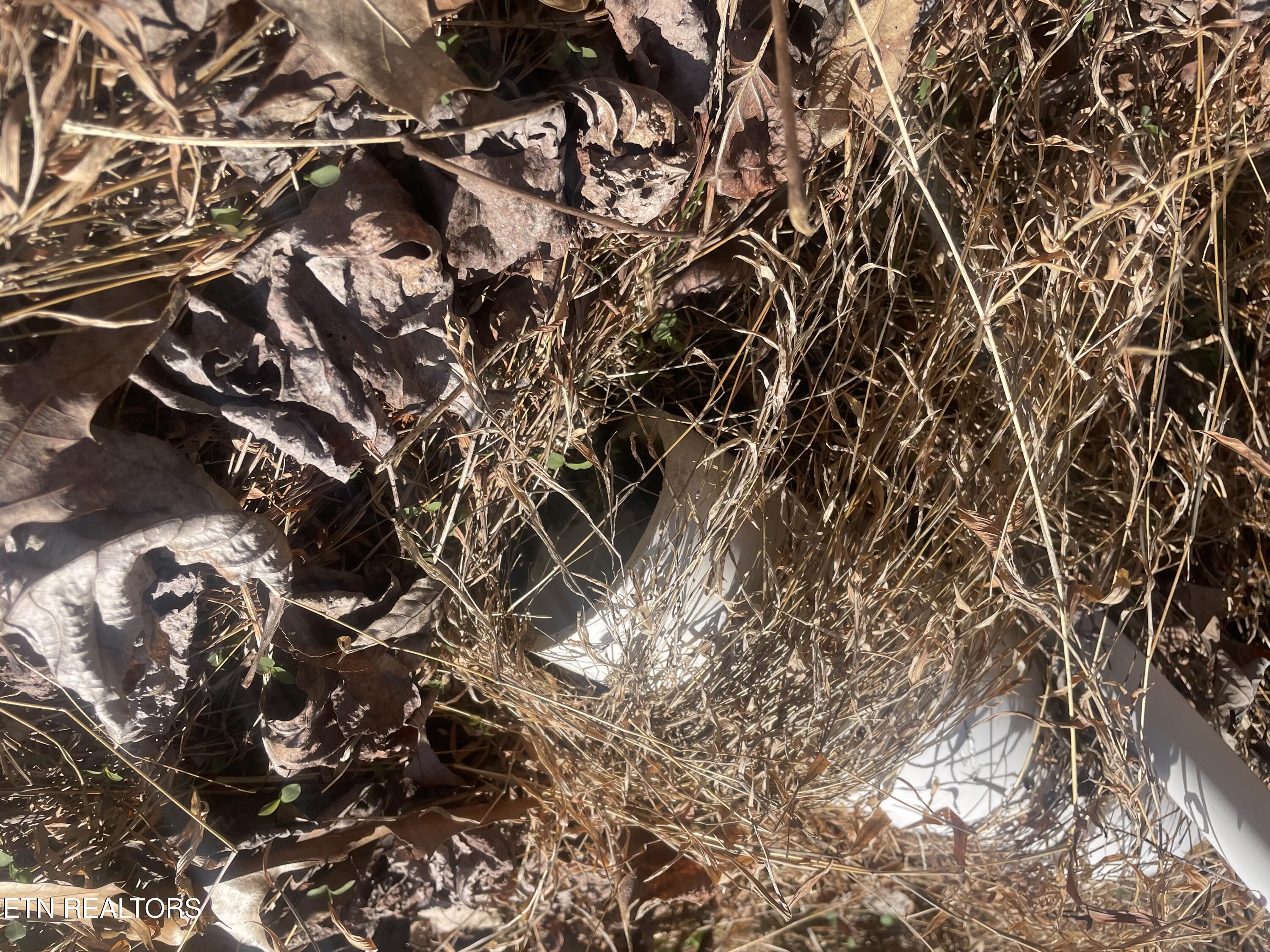 1295 Sussex Road Dayton, TN 37321 - Photo 20 of 21 IMG_7973