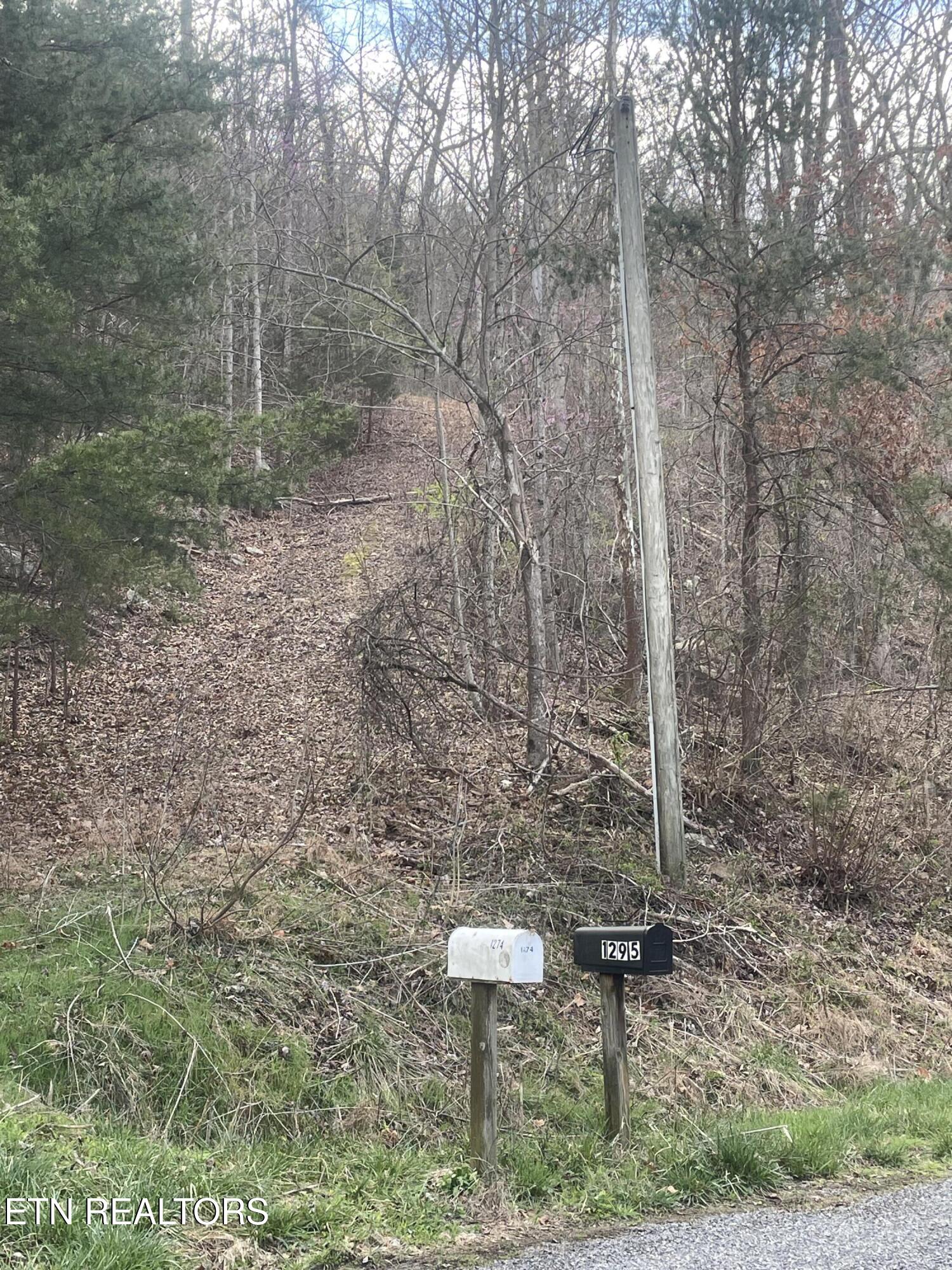 1295 Sussex Road Dayton, TN 37321 - Photo 2 of 21 IMG_7959