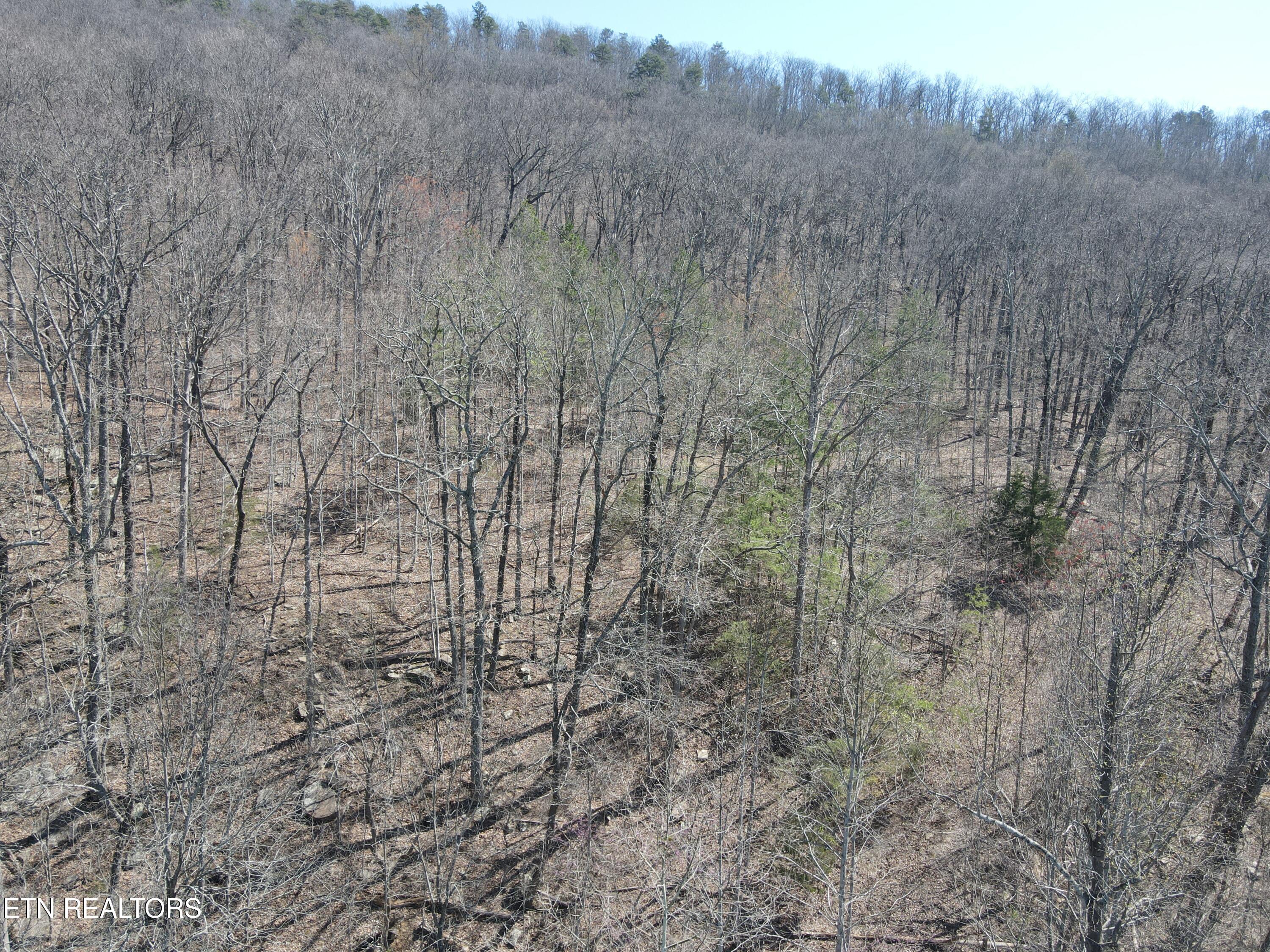 1295 Sussex Road Dayton, TN 37321 - Photo 4 of 21 DJI_0909