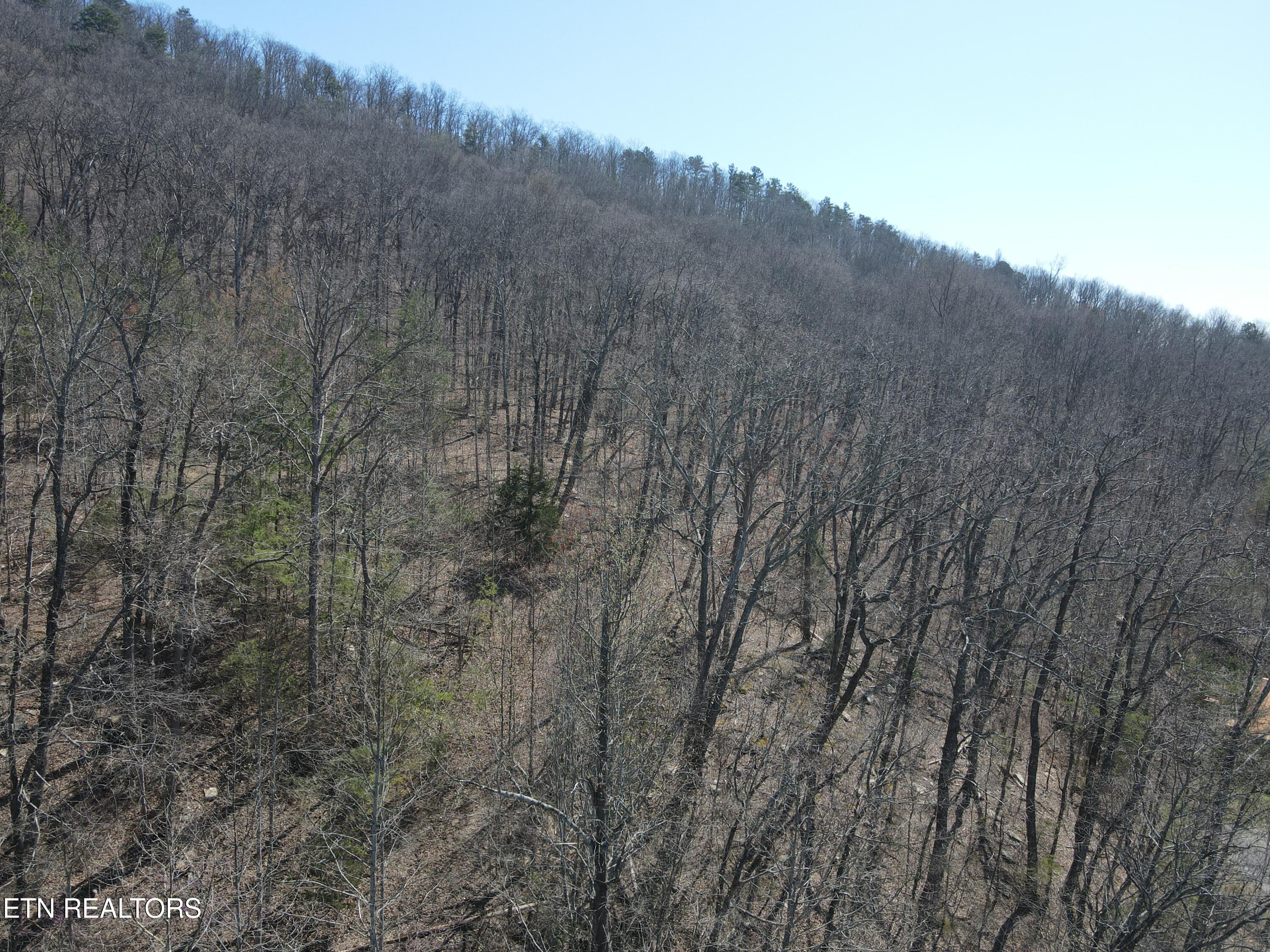 1295 Sussex Road Dayton, TN 37321 - Photo 5 of 21 DJI_0910