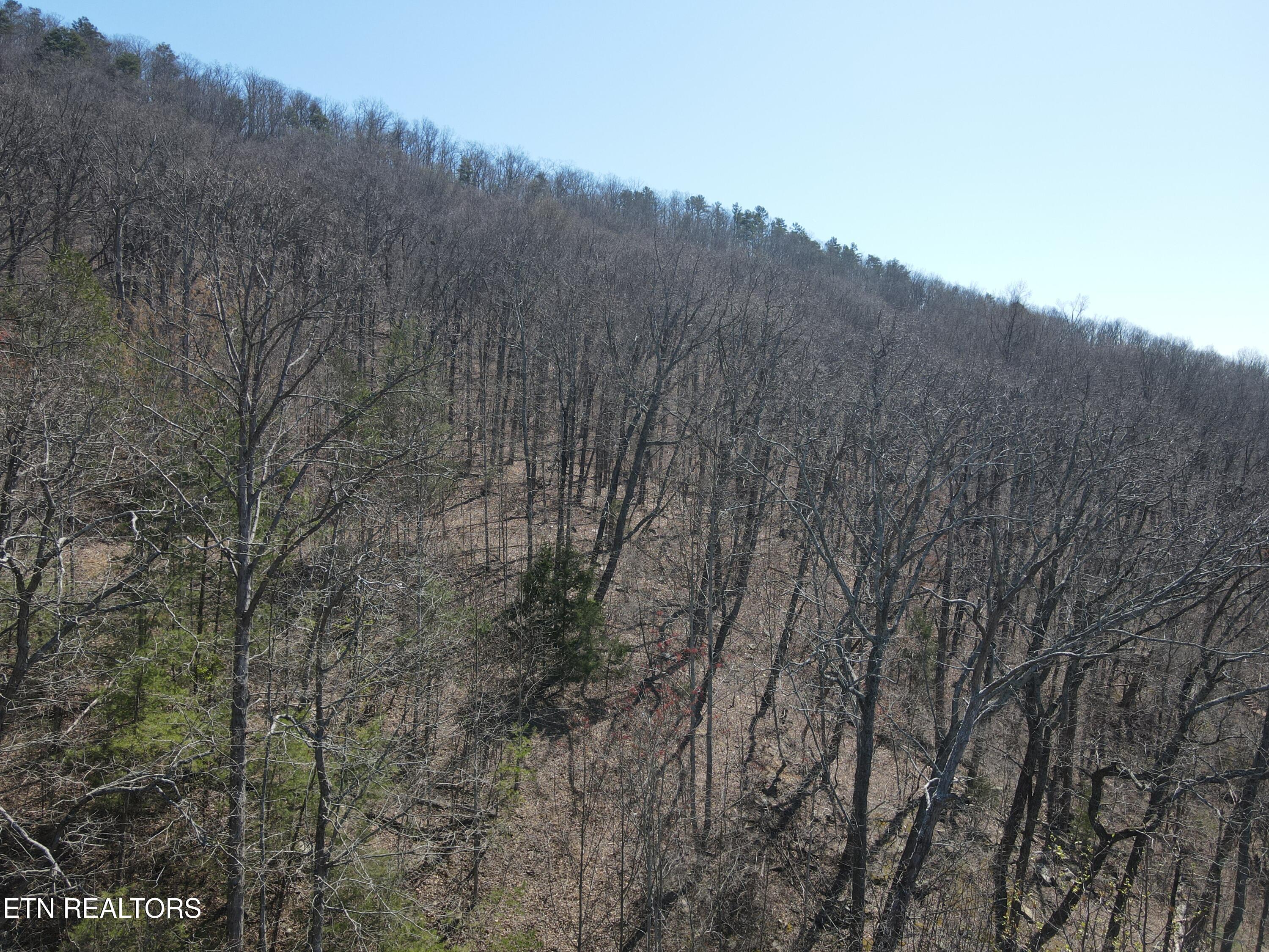 1295 Sussex Road Dayton, TN 37321 - Photo 8 of 21 DJI_0913