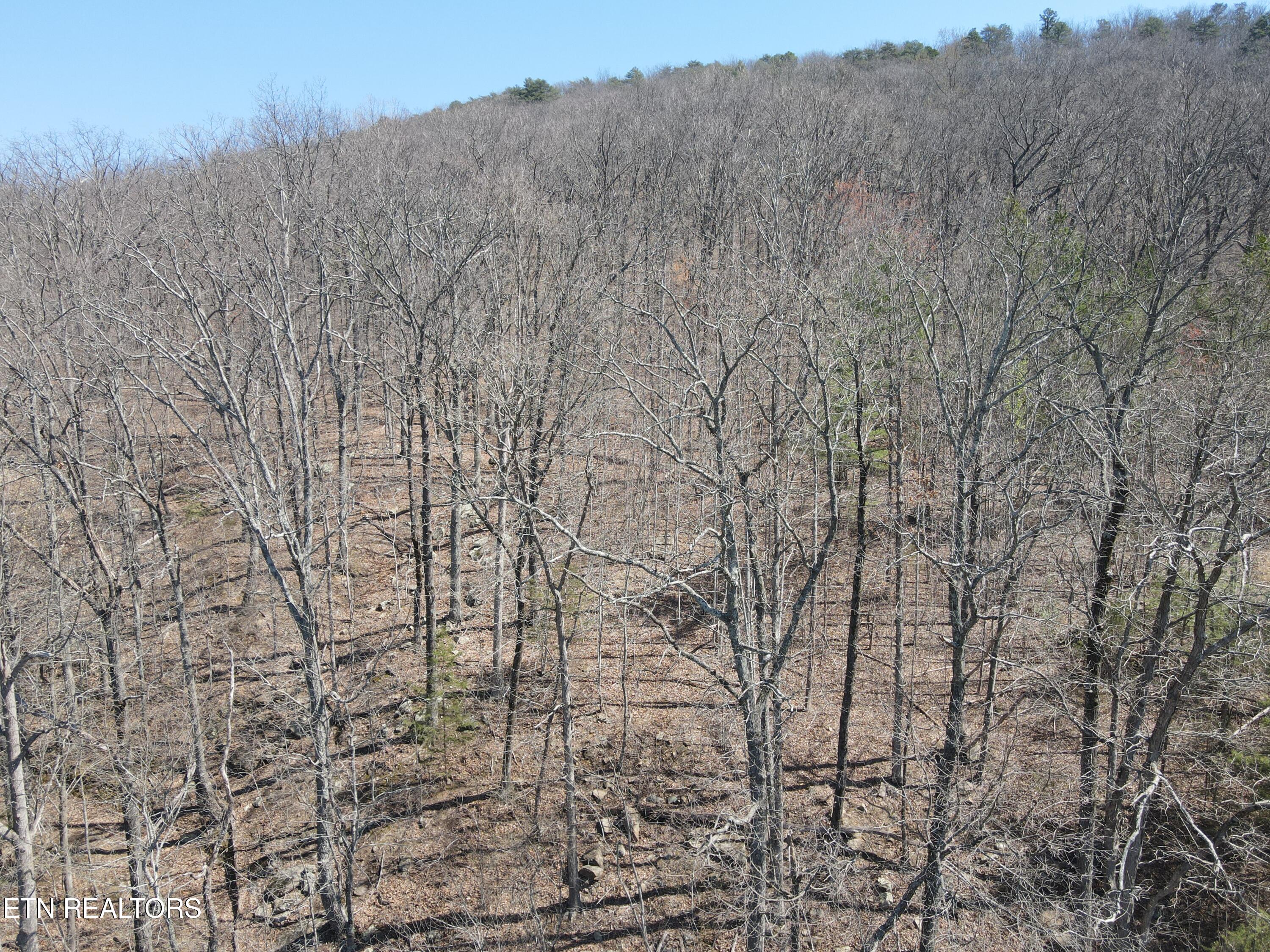 1295 Sussex Road Dayton, TN 37321 - Photo 9 of 21 DJI_0914