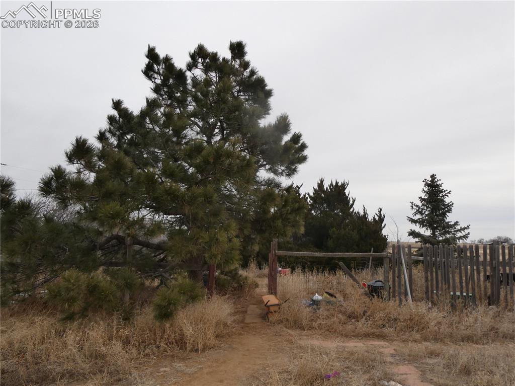 32775 Truckton Road Yoder, CO 80864 - Photo 2 of 15 a view of a dry yard with wooden fence