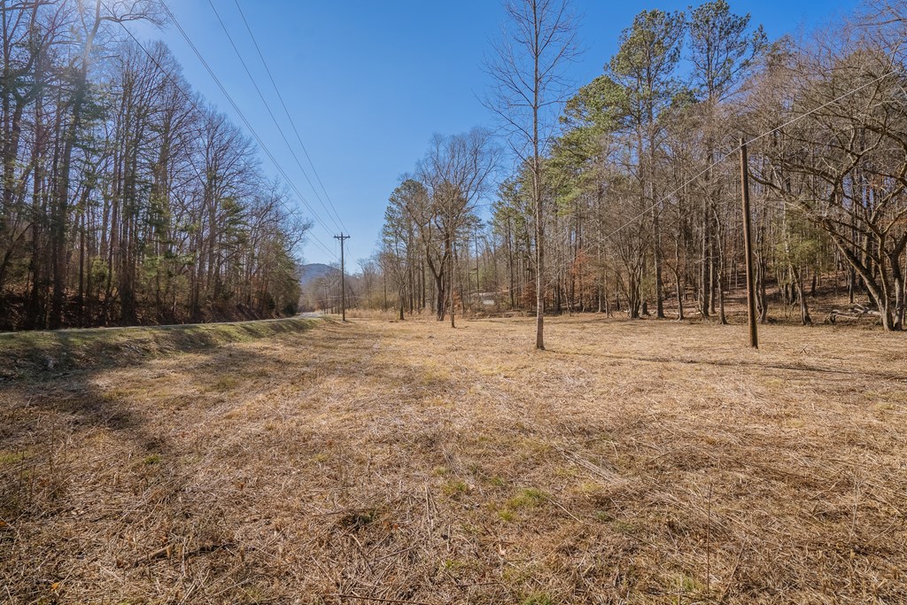 Lot 42 Quarles Road Rocky Face, GA 30740 - Photo 8 of 27 Gallery Image 8