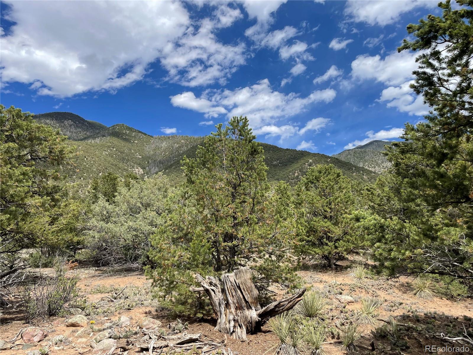 4286 Fallen Tree Crestone, CO 81131 - Photo 1 of 12