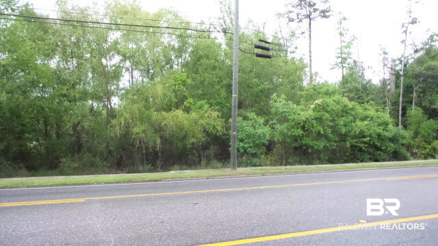 0 Wilson Street Brewton, AL 36426 - Photo 8 of 9