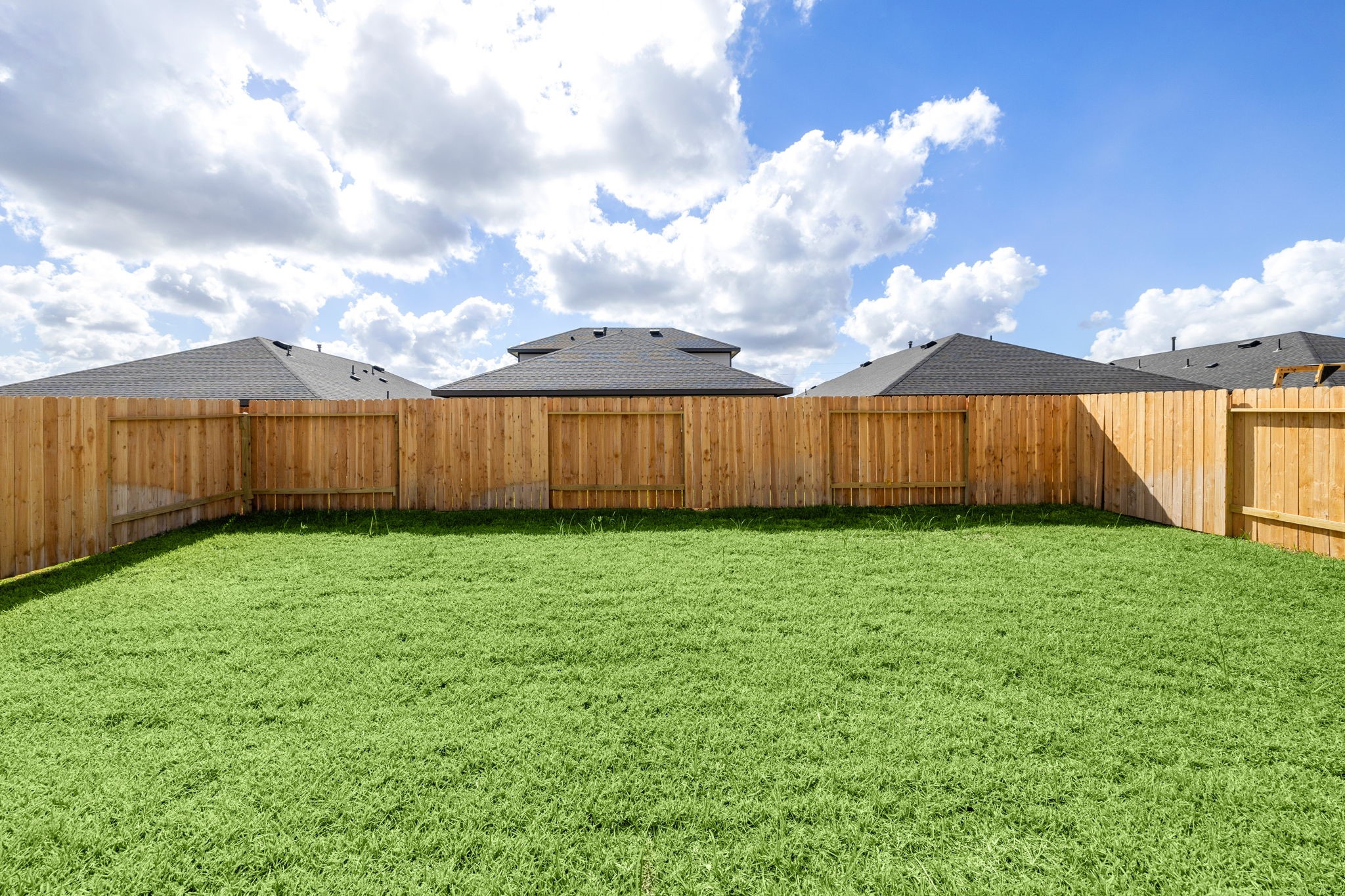 31007 Delamere Fulshear, TX 77441 - Photo 18 of 22 a view of a backyard with large trees