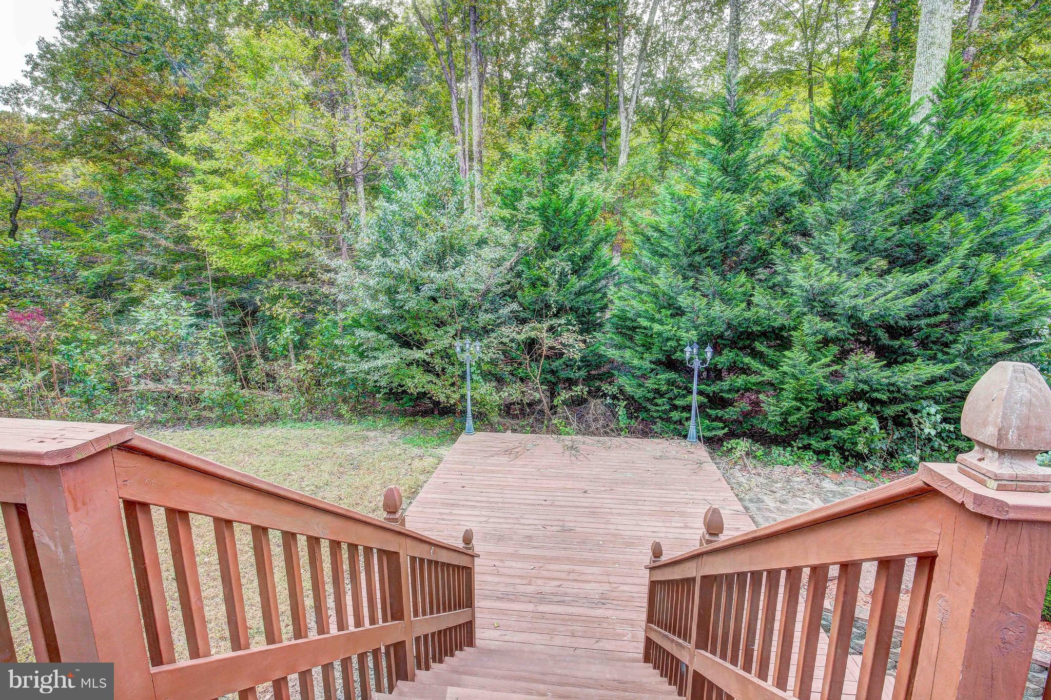 4655 Mattapany Road St. Leonard, MD 20685 - Photo 48 of 56 Steps From Deck