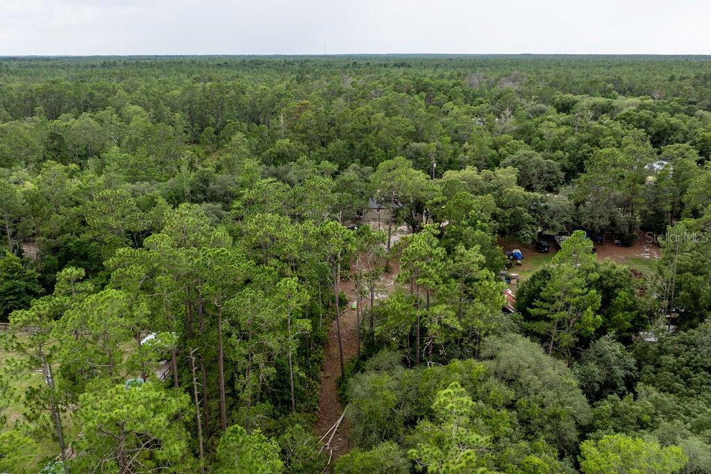 24821 Old Deer Road Paisley, FL 32767 - Photo 39 of 43