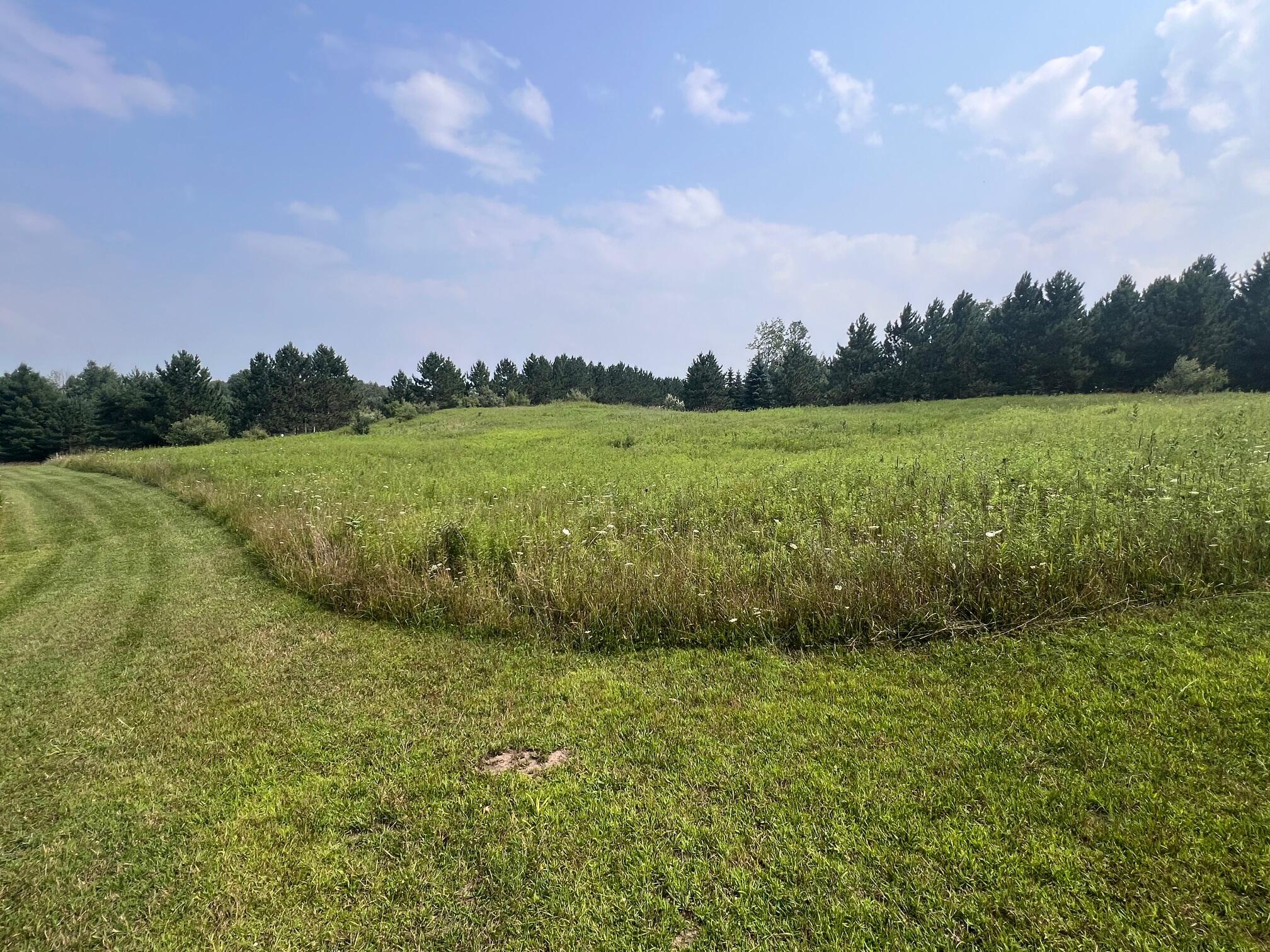 V/l South Dow Road West Branch, MI 48661 - Photo 4 of 10 image2