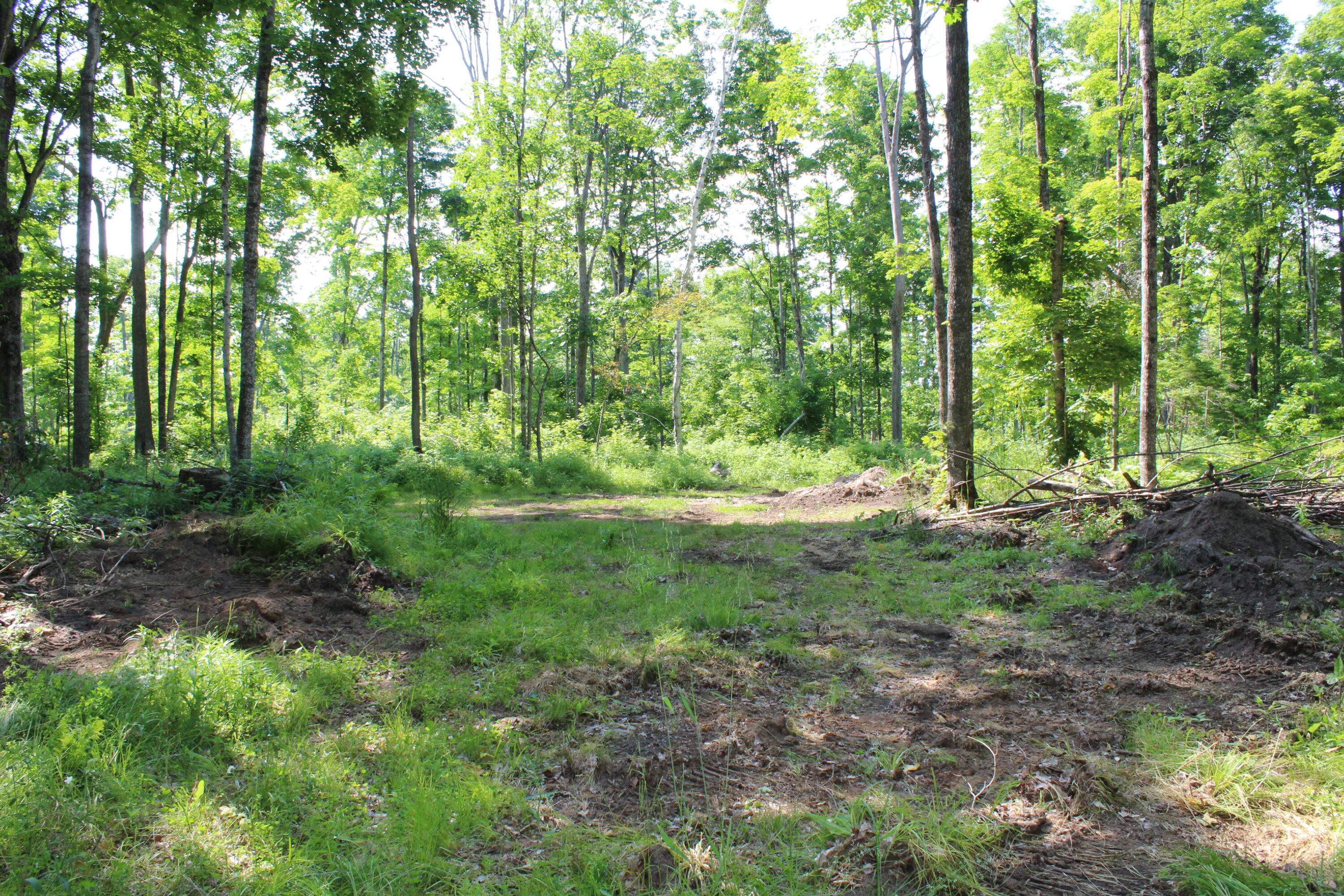 0 McGahn Road Germfask, MI 49836 - Photo 15 of 22 IMG_2434