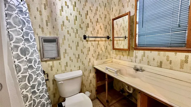 a bathroom with a sink and a toilet