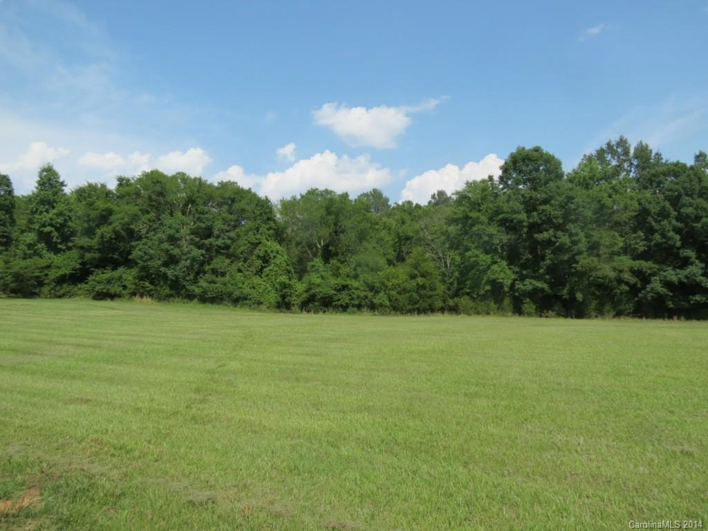 22-ac True Road McConnells, SC 29726 - Photo 1 of 10 a view of field and trees in the background