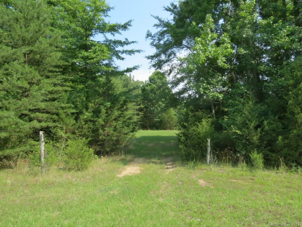 22-ac True Road McConnells, SC 29726 - Photo 4 of 10 a view of yard with green space