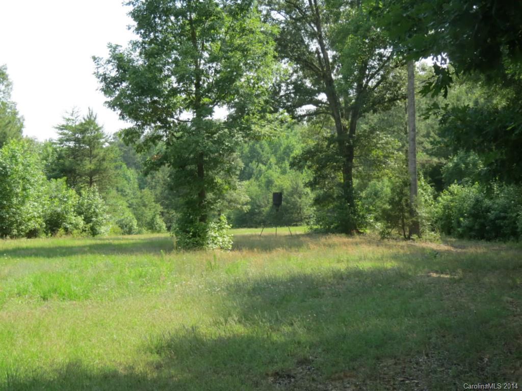 22-ac True Road McConnells, SC 29726 - Photo 6 of 10 a view of outdoor space and yard