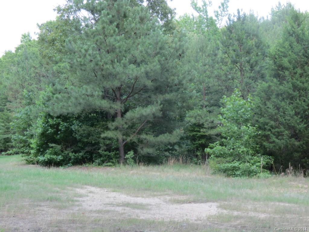 22-ac True Road McConnells, SC 29726 - Photo 7 of 10 a view of a yard with a tree