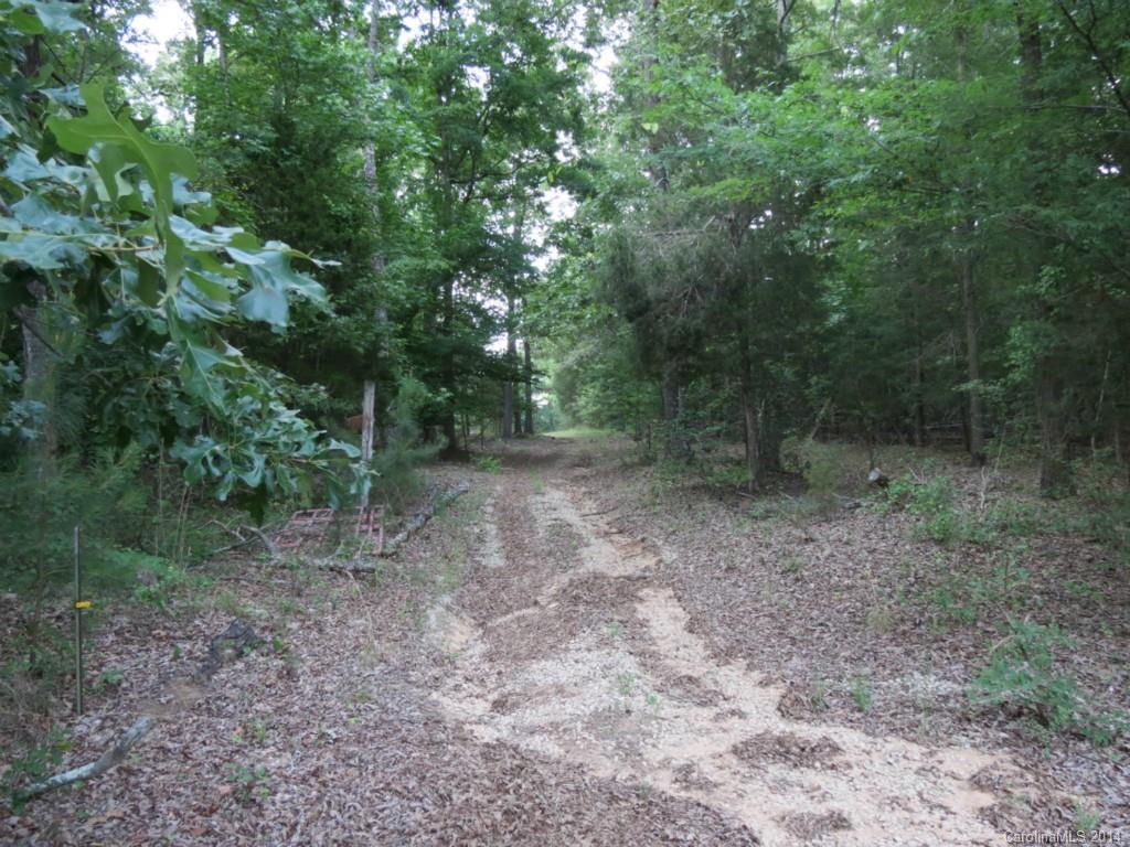 22-ac True Road McConnells, SC 29726 - Photo 8 of 10 a view of a forest with trees in the background