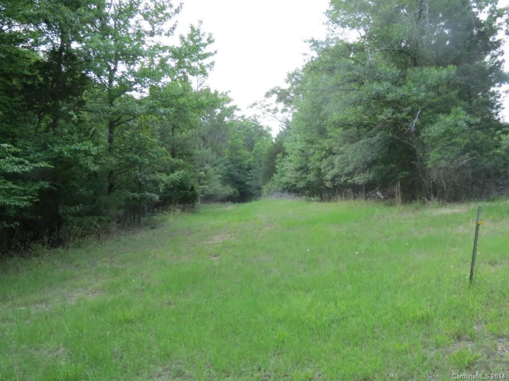 22-ac True Road McConnells, SC 29726 - Photo 9 of 10 a view of outdoor space and yard