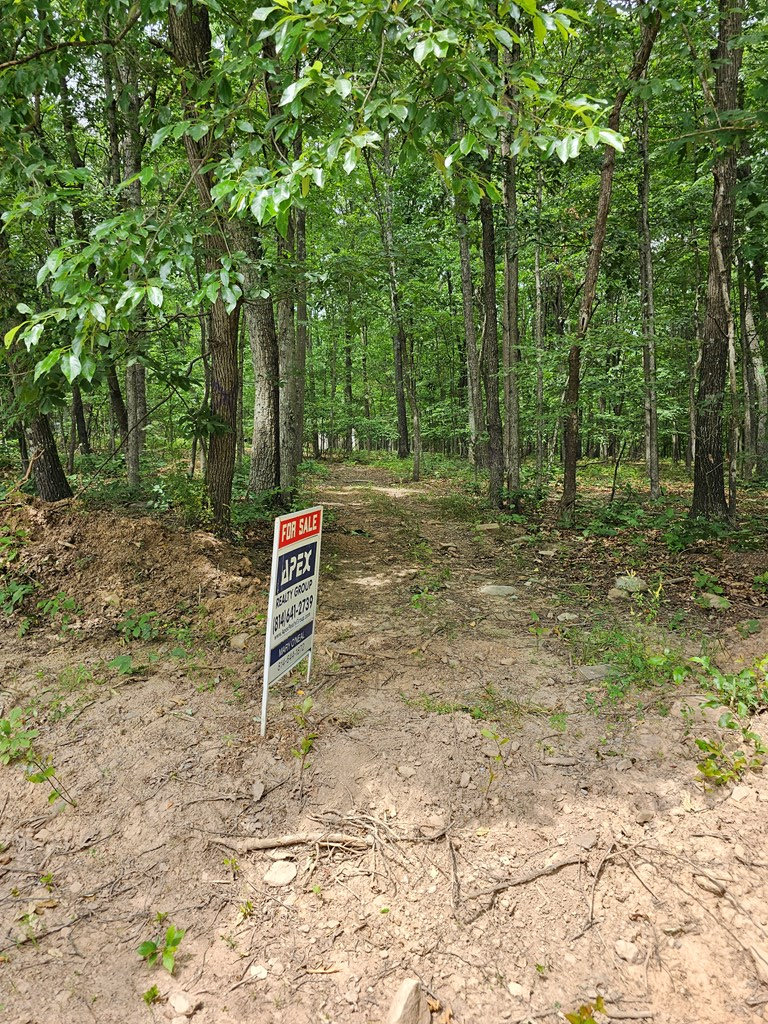 Lot 25 Summer Road Robertsdale, PA 16674 - Photo 2 of 4 Gallery Image 2