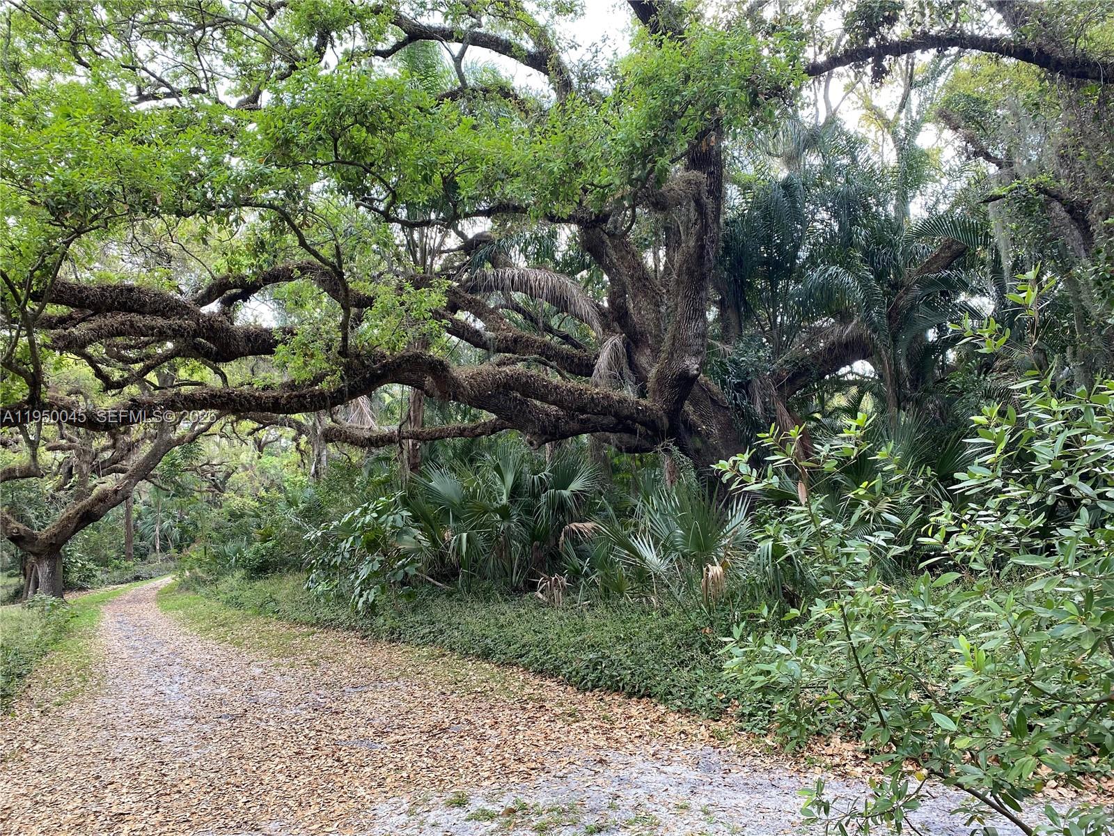 2080 Southwest 90th Avenue, Unit C13 Davie, FL 33324 - Photo 73 of 77