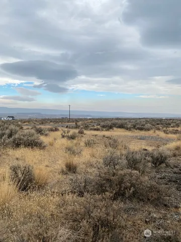 a view of a dry yard with wooden floor and fence