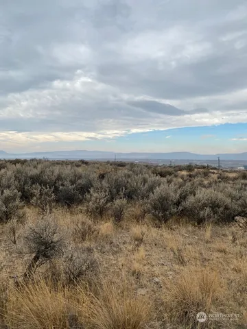 a view of a terrace with a bench