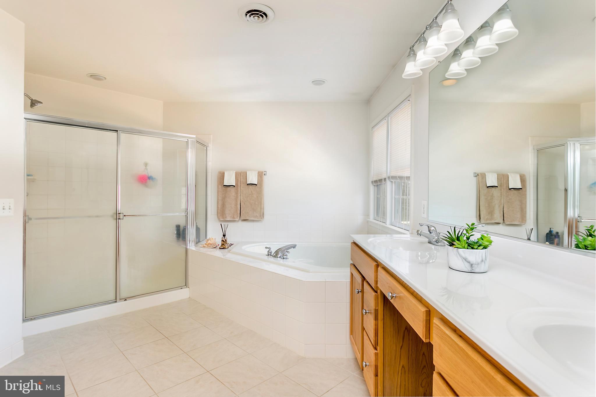 13 Johnson Road Pasadena, MD 21122 - Photo 7 of 28 Master Bath with extra large shower