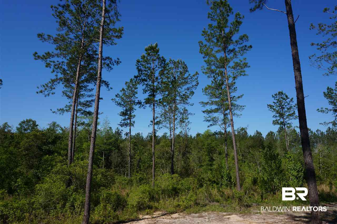 49989 Dyas Road Bay Minette, AL 36507 - Photo 31 of 33
