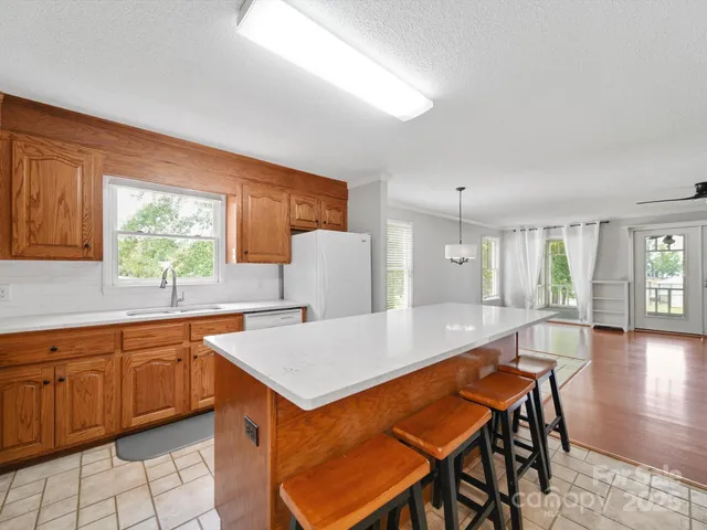 a view of a lake with lawn chairs and a large tree