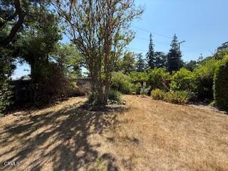 591 Alameda Street Altadena, CA 91001 - Photo 6 of 8 a view of a yard with trees