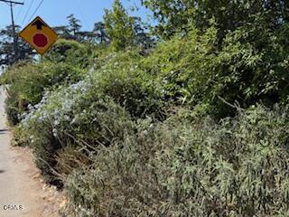 591 Alameda Street Altadena, CA 91001 - Photo 7 of 8