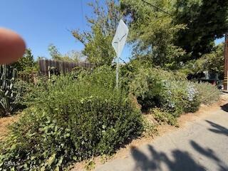 591 Alameda Street Altadena, CA 91001 - Photo 8 of 8 a view of a forest with a tree