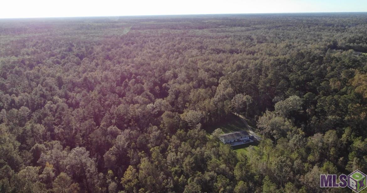 19646 King George Road Livingston, LA 70754 - Photo 23 of 24 Gallery Image 23