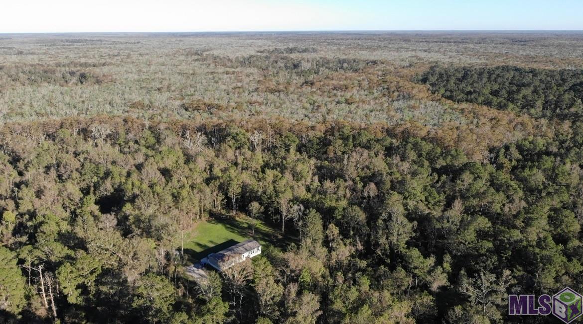 19646 King George Road Livingston, LA 70754 - Photo 24 of 24 Gallery Image 24