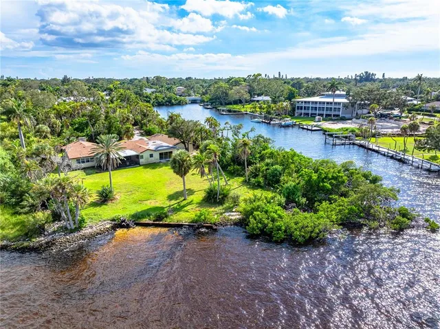a view of a garden with plants and large trees