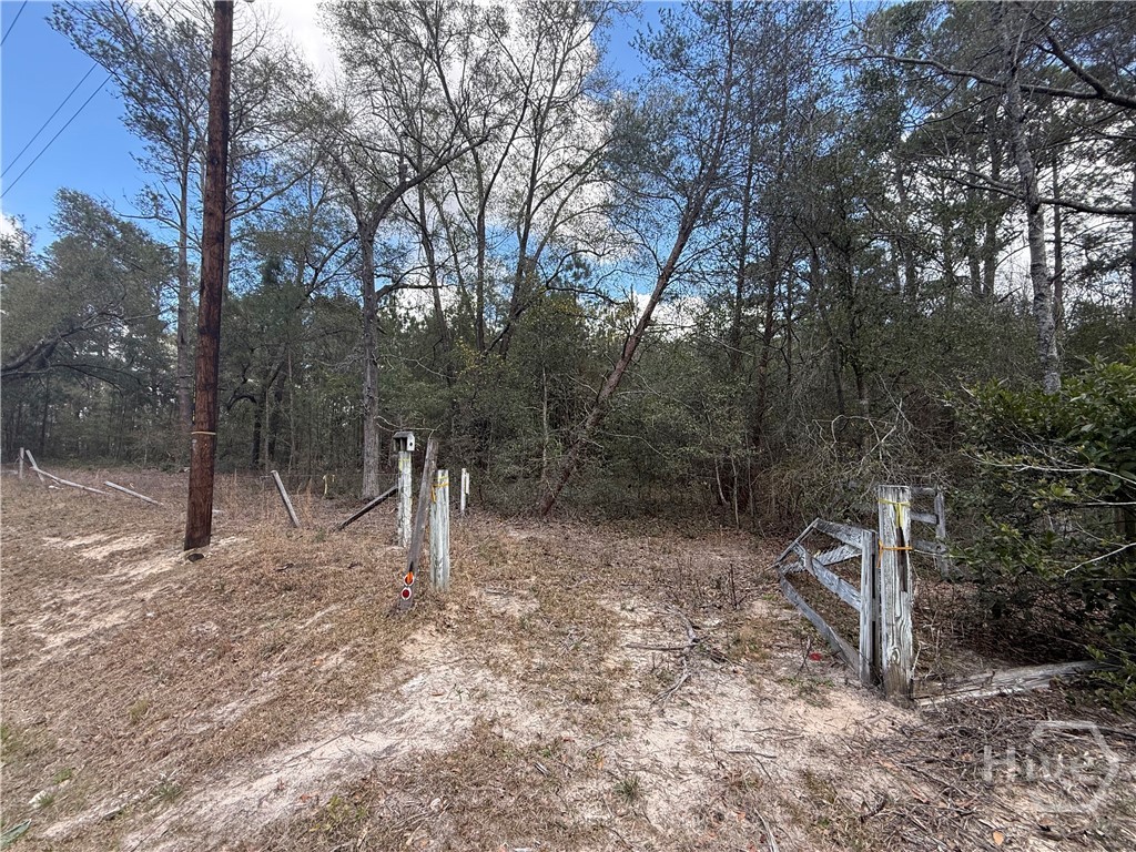 2362 Old Dixie Highway South Springfield, GA 31329 - Photo 3 of 9