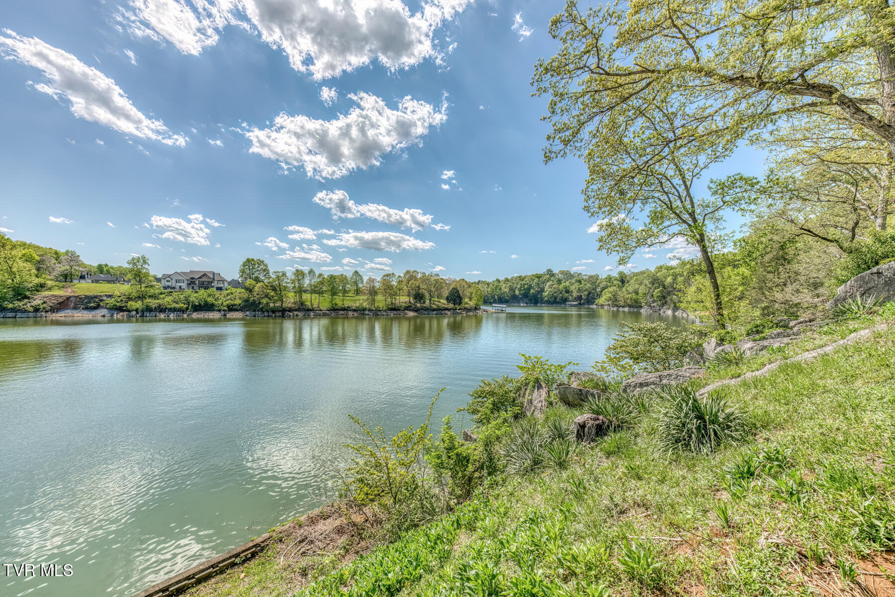 255 Willmary Road Piney Flats, TN 37686 - Photo 82 of 161 255 Willmary Rd-161