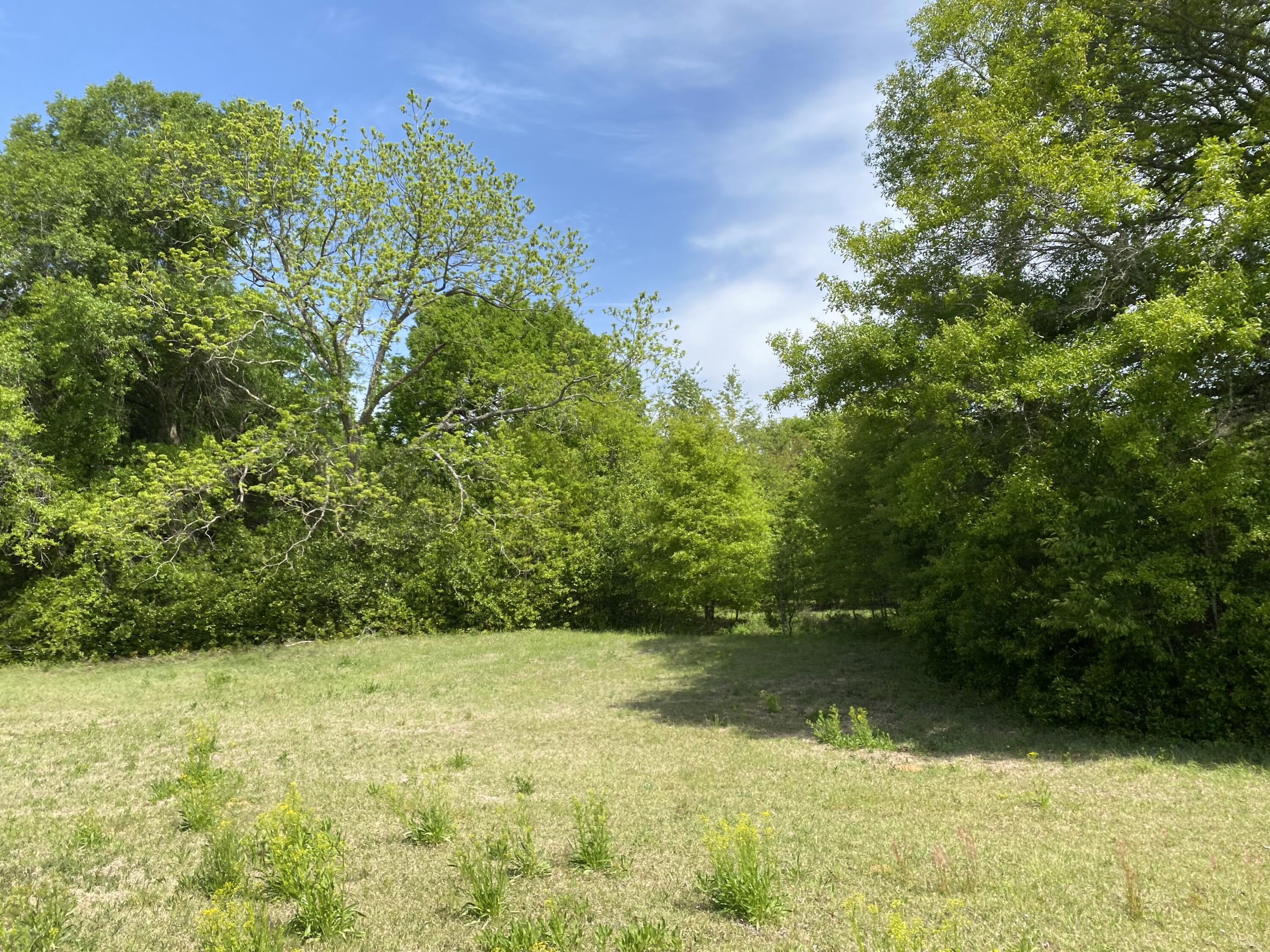 4074 Dunbarton Road Williston, SC 29853 - Photo 12 of 14