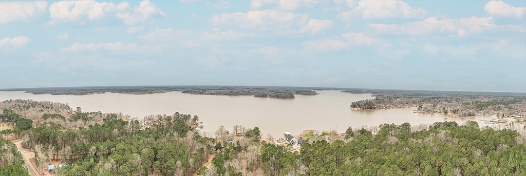 262 Forrester Road Cross Hill, SC 29332 - Photo 3 of 26 Gallery Image 3