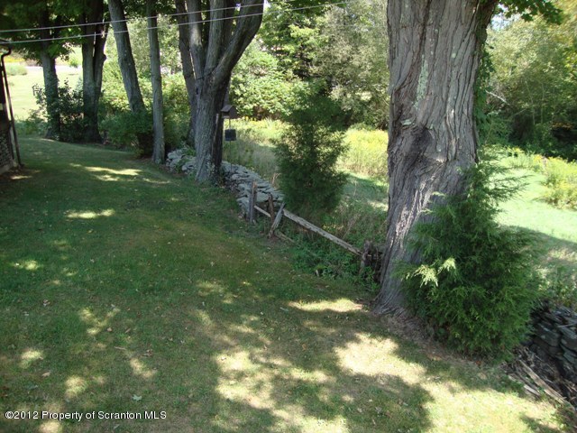 886 State Rte 4002 Laceyville, PA 18623 - Photo 5 of 44 a view of a yard with large trees