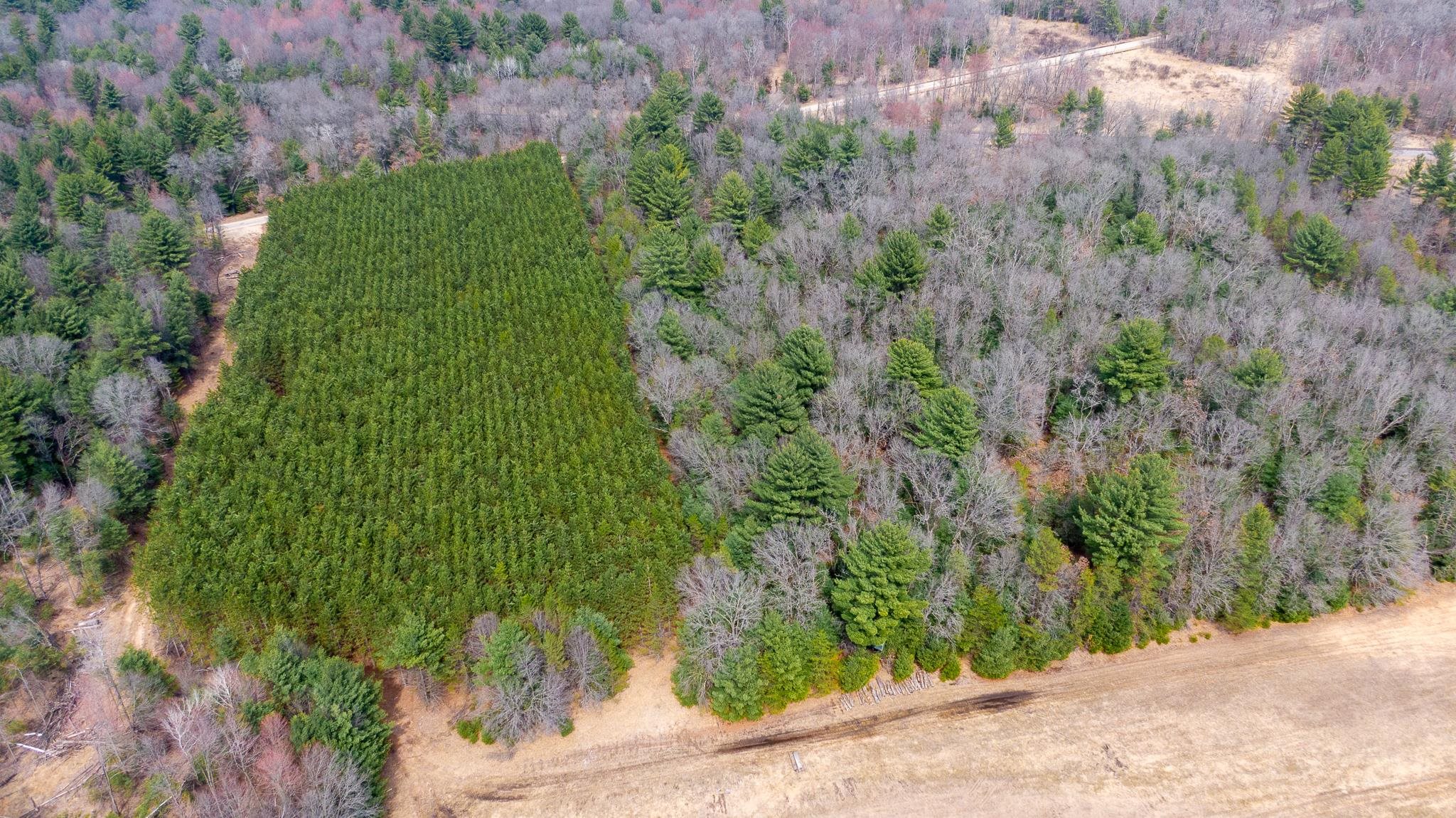 Lot 2-43 Ac Dover Adams, WI 53910 - Photo 3 of 32