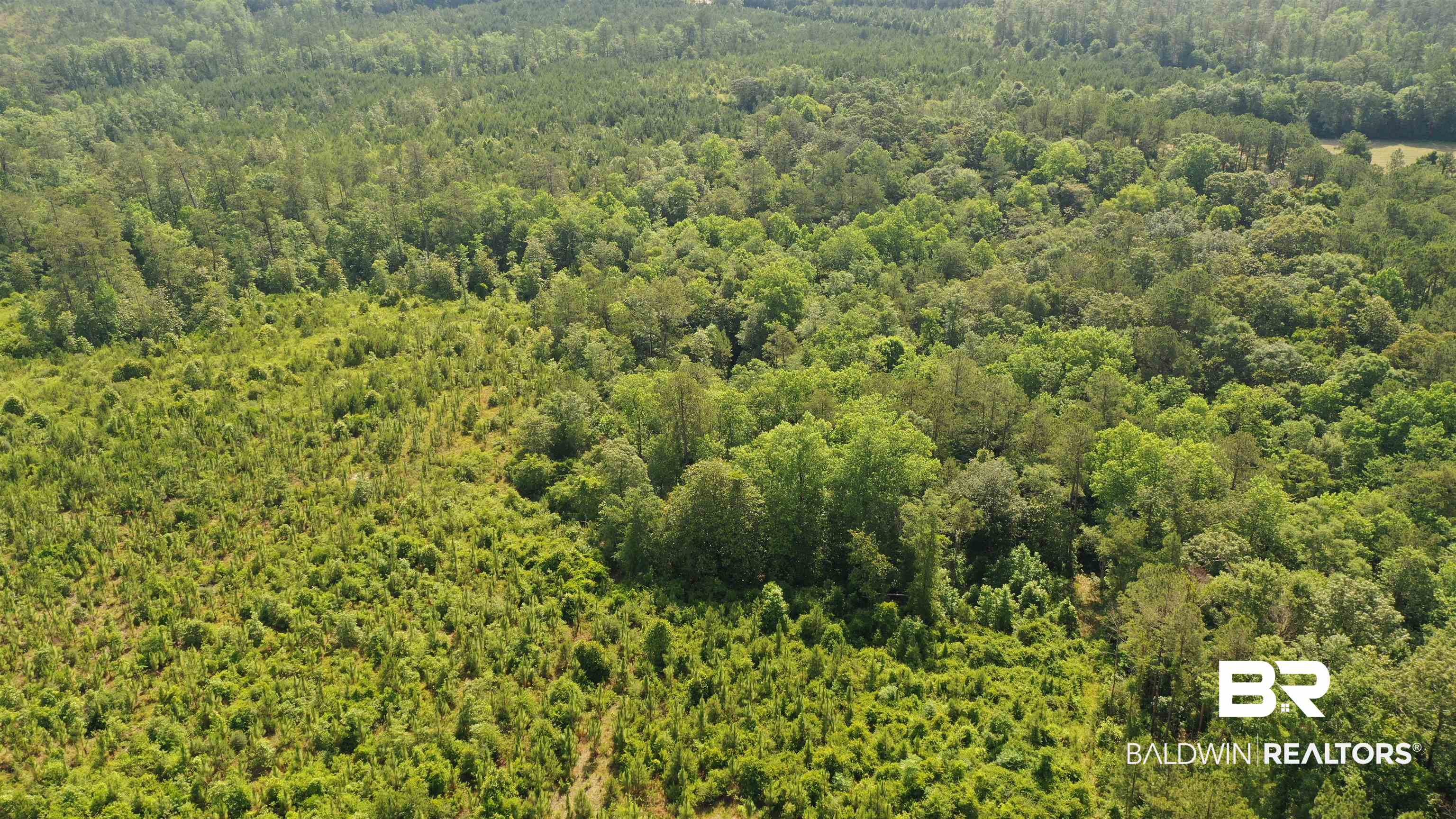 1 Travis Road Brewton, AL 36426 - Photo 16 of 28