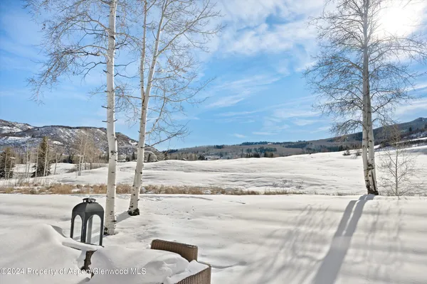 a view of a yard with a tree