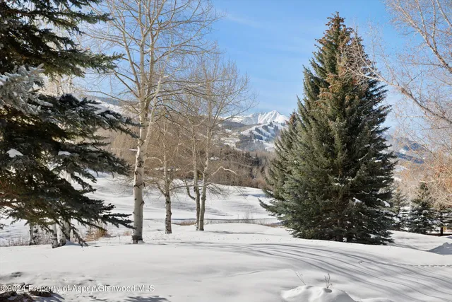 a view of a dry yard with wooden fence