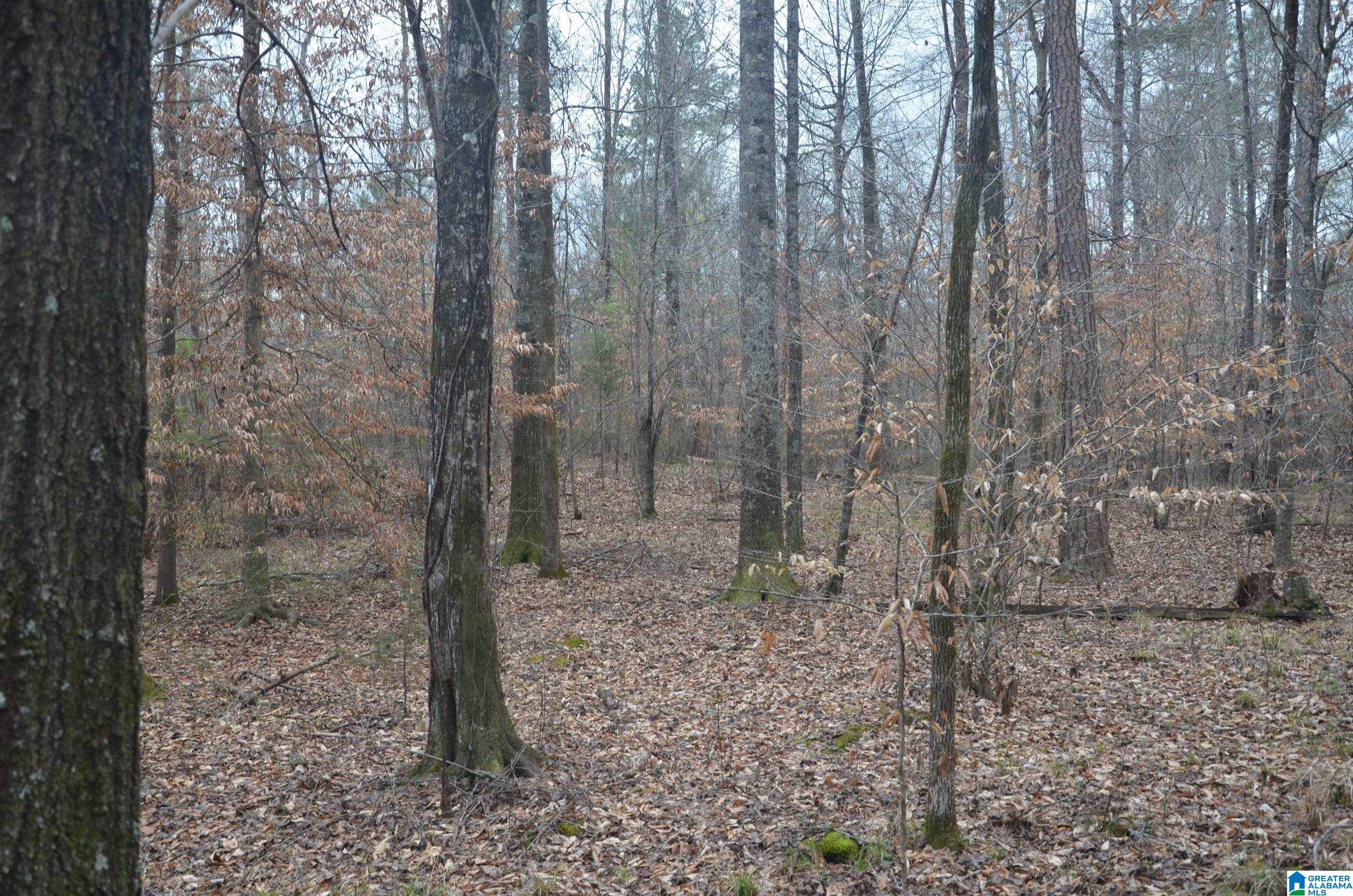 0 Settlers Ridge Alabaster, AL 35007 - Photo 12 of 19