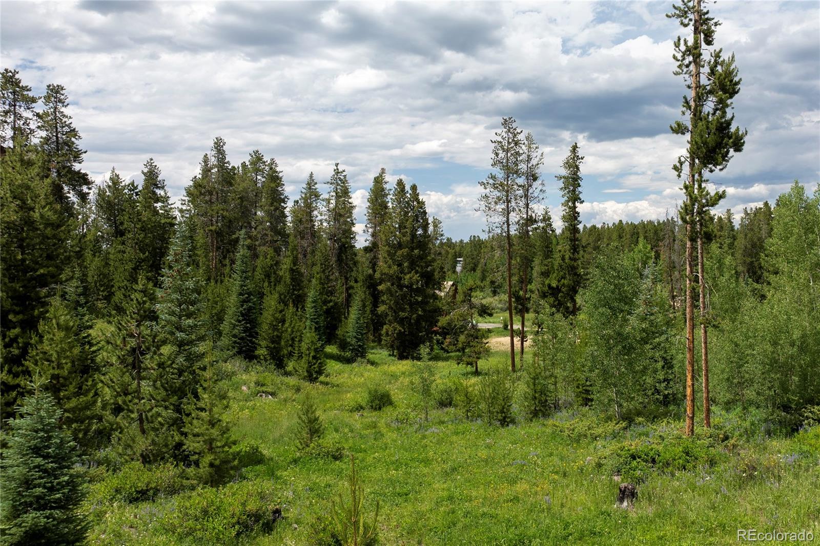 16 County Road 8343 Fraser, CO 80442 - Photo 17 of 17