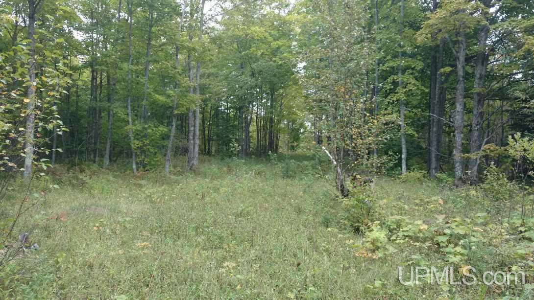 Tbd Wassa Road Calumet, MI 49913 - Photo 6 of 12